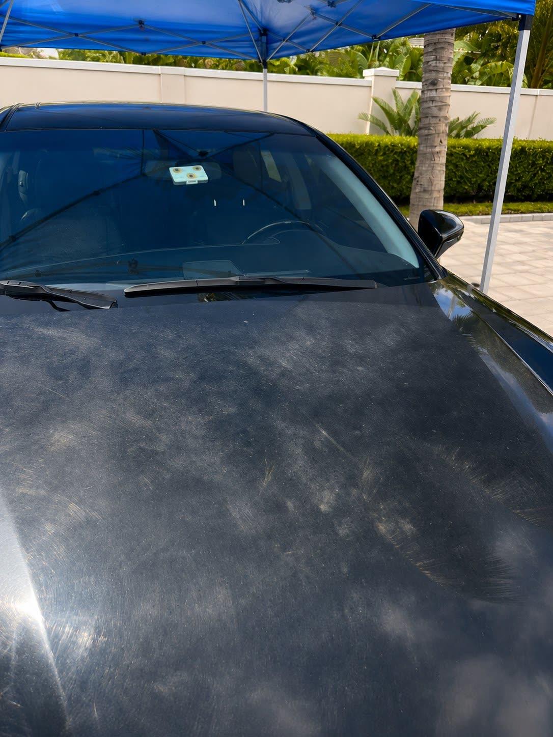Black car hood before paint correction covered in swirl marks, haze and fine scratches